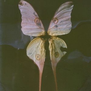 Meet your Posher, Adam